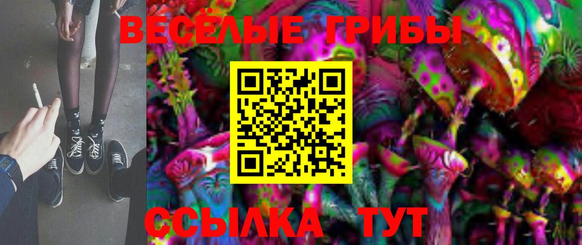 Балтийск  Псилоцибиновые грибы GOLDEN TEACHER  купить наркотики сайты  Вход с VPN 
