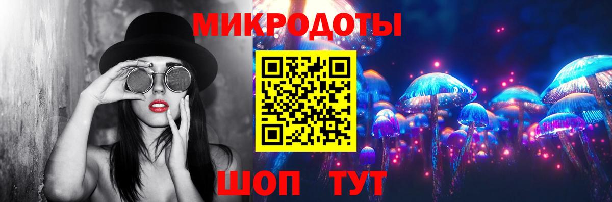 Галлюциногенные грибы Psilocybine cubensis Балтийск