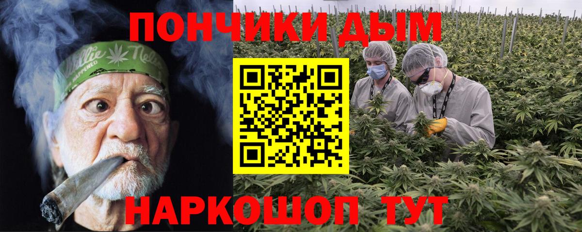 Балтийск  Канабис гибрид  Бошки марихуана планчик  Вход с VPN 